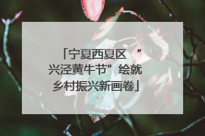 宁夏西夏区 “兴泾黄牛节”绘就乡村振兴新画卷