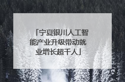 宁夏银川人工智能产业升级带动就业增长超千人