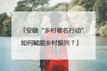 安徽“乡村著名行动”如何赋能乡村振兴？