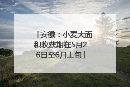 安徽：小麦大面积收获期在5月26日至6月上旬