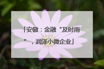 安徽：金融“及时雨”，润泽小微企业