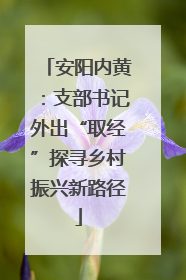 安阳内黄：支部书记外出“取经”探寻乡村振兴新路径