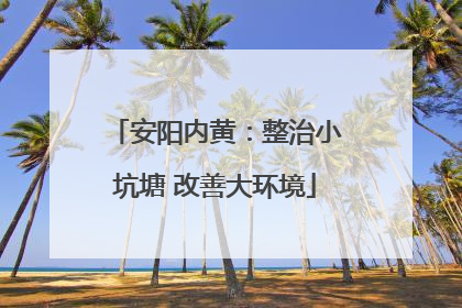 安阳内黄：整治小坑塘 改善大环境