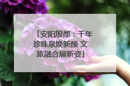 安阳殷都：千年珍珠泉焕新颜 文旅融合展新姿