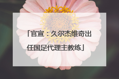 官宣：久尔杰维奇出任国足代理主教练