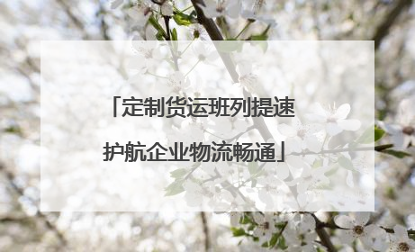 定制货运班列提速 护航企业物流畅通