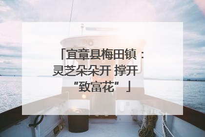 宜章县梅田镇：灵芝朵朵开 撑开“致富花”
