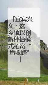 宜宾兴文：这一乡镇以创新种植模式拓宽“增收路”