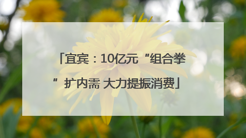 宜宾：10亿元“组合拳”扩内需 大力提振消费