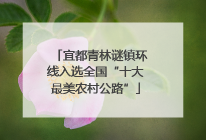 宜都青林谜镇环线入选全国“十大最美农村公路”