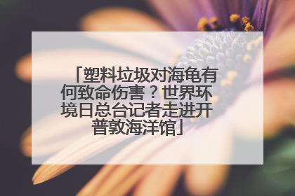 塑料垃圾对海龟有何致命伤害？世界环境日总台记者走进开普敦海洋馆