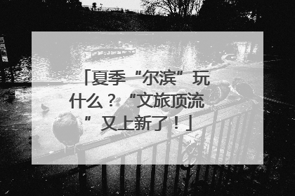 夏季“尔滨”玩什么？“文旅顶流”又上新了！