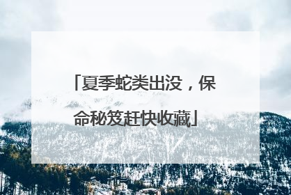 夏季蛇类出没，保命秘笈赶快收藏