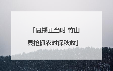 夏播正当时 竹山县抢抓农时保秋收
