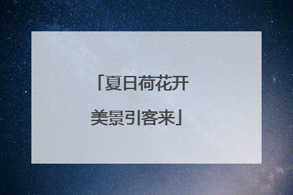 夏日荷花开 美景引客来