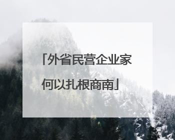 外省民营企业家何以扎根商南