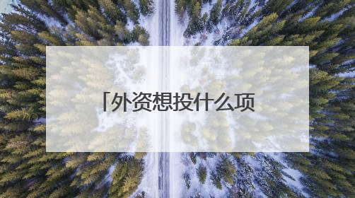 外资想投什么项目？上海浦东邀请供需双方“坐下来掰开了谈”