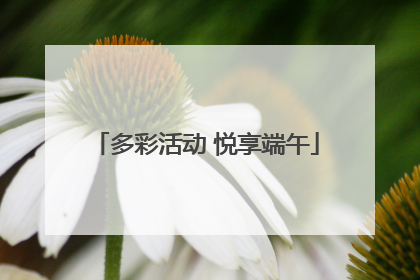 多彩活动 悦享端午