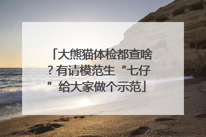 大熊猫体检都查啥？有请模范生“七仔”给大家做个示范