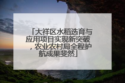 大祥区水稻选育与应用项目实现新突破，农业农村局全程护航成果斐然