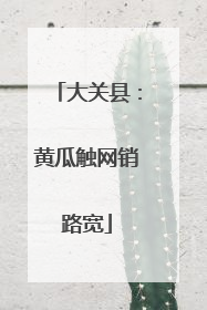 大关县：黄瓜触网销路宽