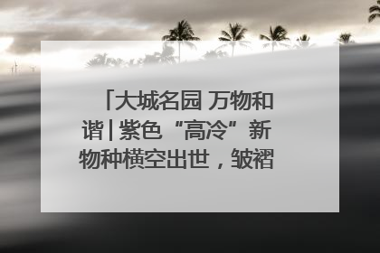 大城名园 万物和谐│紫色“高冷”新物种横空出世，皱褶叶片暗藏进化密码