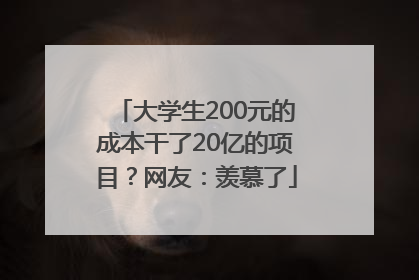 大学生200元的成本干了20亿的项目？网友：羡慕了