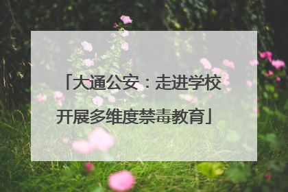 大通公安：走进学校开展多维度禁毒教育