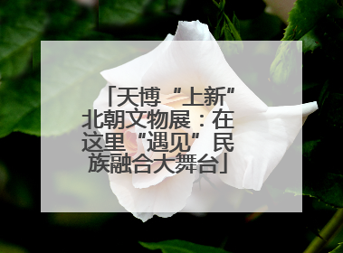 天博“上新”北朝文物展：在这里“遇见”民族融合大舞台