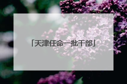 天津任命一批干部