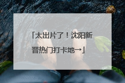 太出片了！沈阳新晋热门打卡地→