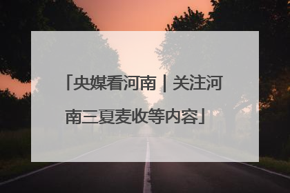 央媒看河南｜关注河南三夏麦收等内容