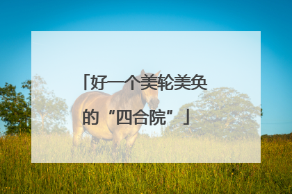 好一个美轮美奂的“四合院”