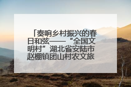 奏响乡村振兴的春日和弦——“全国文明村”湖北省安陆市赵棚镇团山村农文旅融合发展见闻