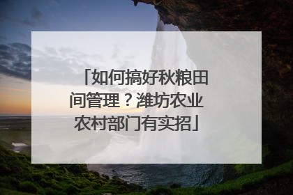 如何搞好秋粮田间管理？潍坊农业农村部门有实招