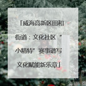 威海高新区田和街道：文化社区“小精特”赛事谱写文化赋能新乐章