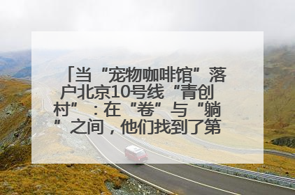 当“宠物咖啡馆”落户北京10号线“青创村”：在“卷”与“躺”之间，他们找到了第三种生活公式