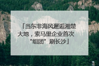 当东非海风邂逅湘楚大地，索马里企业首次“组团”刷长沙