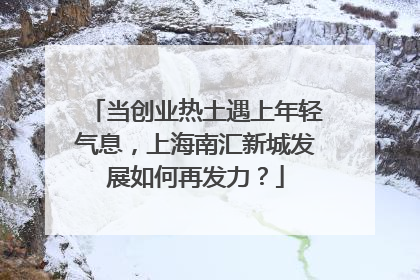 当创业热土遇上年轻气息，上海南汇新城发展如何再发力？