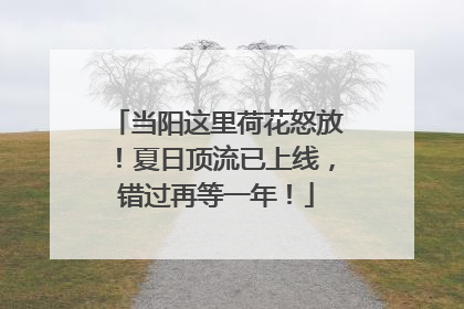 当阳这里荷花怒放！夏日顶流已上线，错过再等一年！