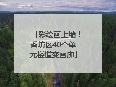 彩绘画上墙！香坊区40个单元楼道变画廊