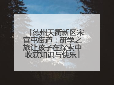 德州天衢新区宋官屯街道：研学之旅让孩子在探索中收获知识与快乐