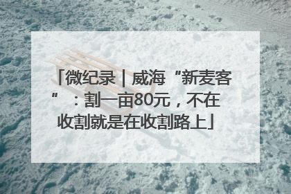 微纪录｜威海“新麦客”：割一亩80元，不在收割就是在收割路上