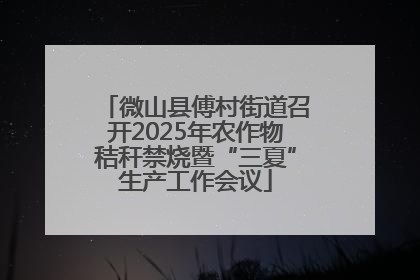 微山县傅村街道召开2025年农作物秸秆禁烧暨“三夏”生产工作会议