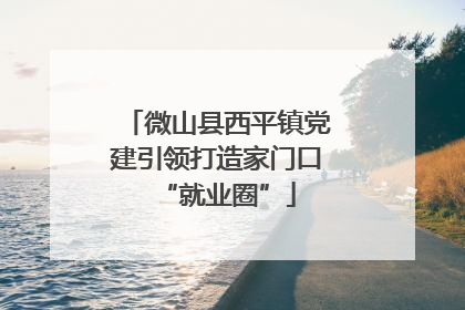 微山县西平镇党建引领打造家门口“就业圈”