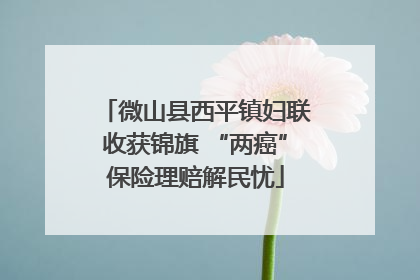 微山县西平镇妇联收获锦旗 “两癌”保险理赔解民忧