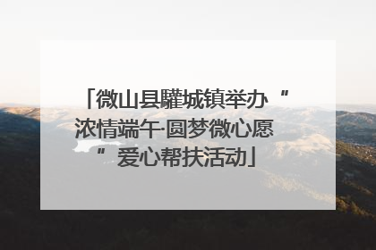 微山县驩城镇举办“浓情端午·圆梦微心愿”爱心帮扶活动