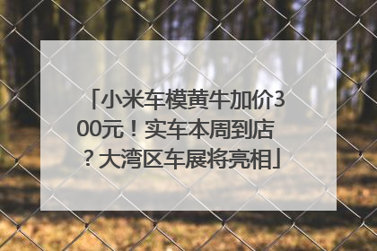 小米车模黄牛加价300元！实车本周到店？大湾区车展将亮相
