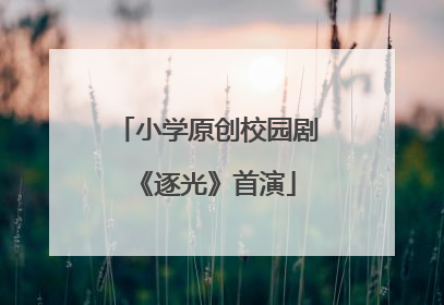 小学原创校园剧《逐光》首演
