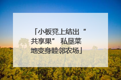 小板凳上结出“共享果” 私垦菜地变身睦邻农场